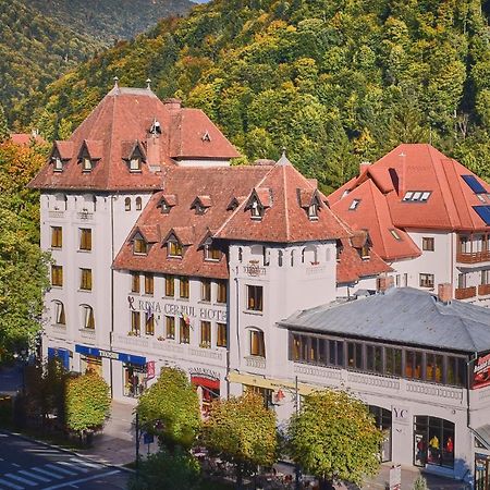 Hotel Rina Cerbul Sinaia Exteriör bild